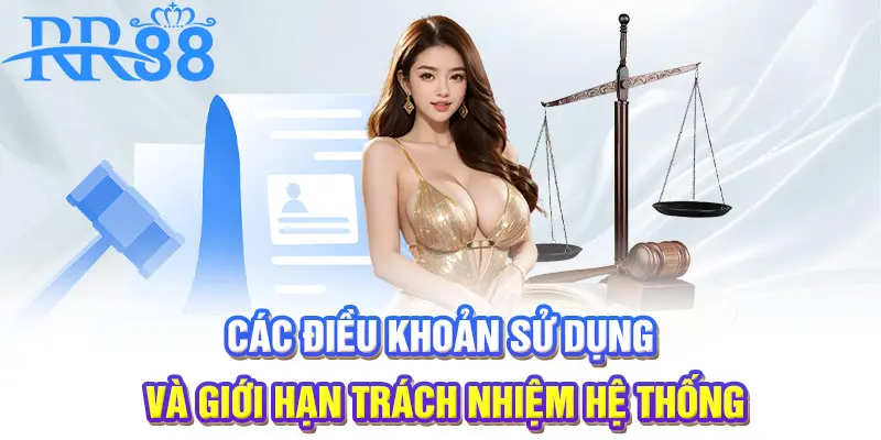 Các điều khoản sử dụng và giới hạn trách nhiệm hệ thống